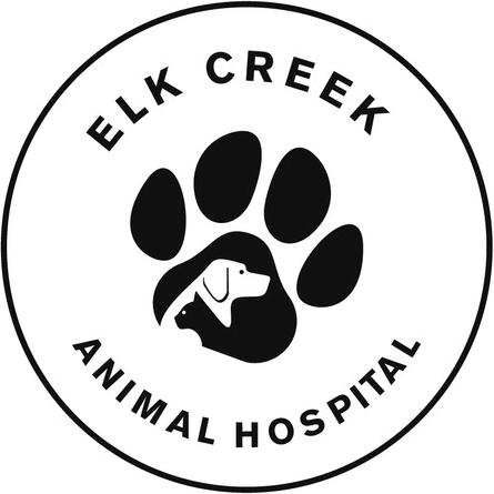 Pet Photo Gallery Sioux City, IA 51106 - Elk Creek Animal Hospital